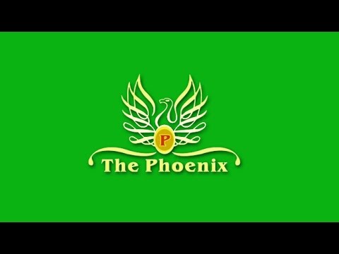 The Phoenix Garden 